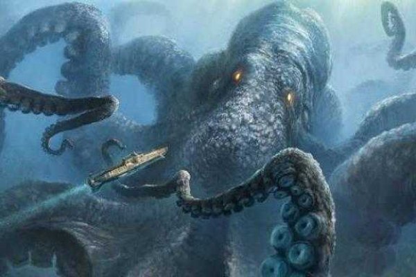 Kraken настоящая ссылка