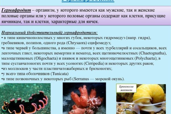 Кракен через тор браузер