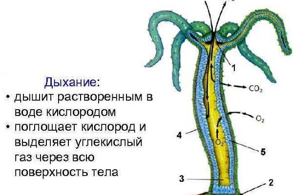 Кракен наркомаркет