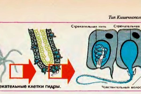 Ссылка кракен зеркало тор